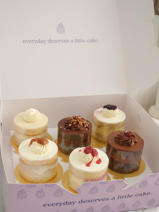 6-Pack Cake Tasting Set