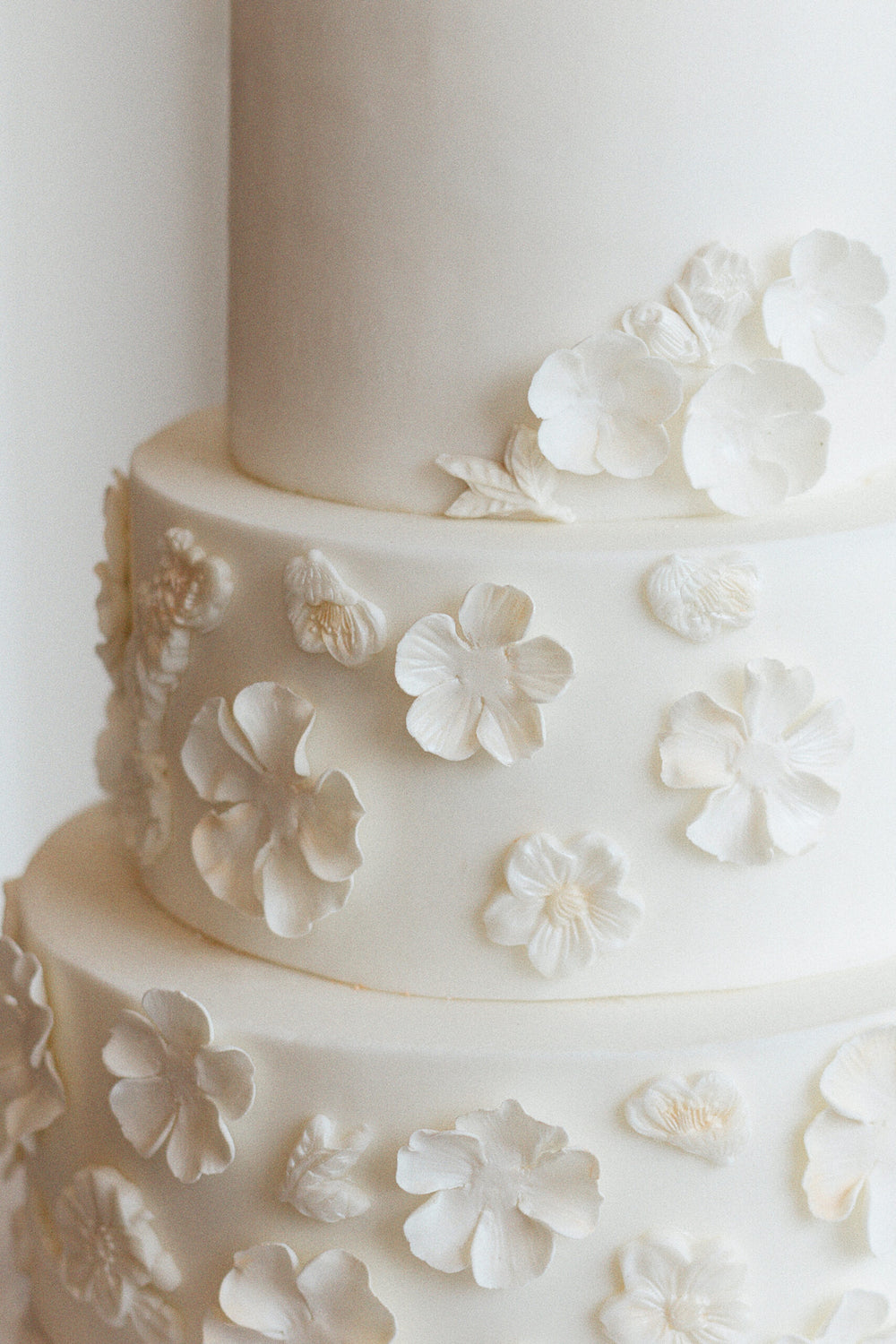 Ivory Relief